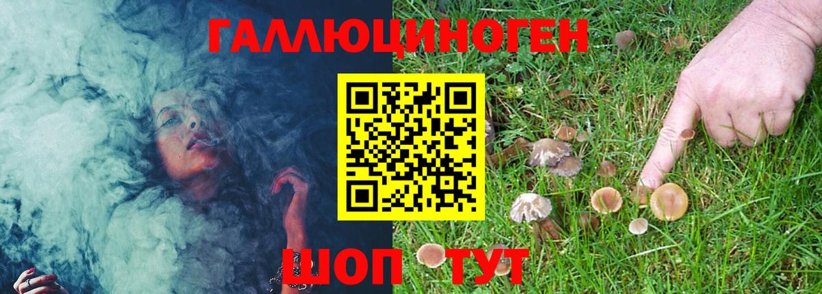 Псилоцибиновые грибы Psilocybe Североуральск