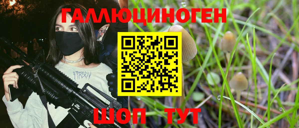 Североуральск  Галлюциногенные грибы GOLDEN TEACHER  Вход с VPN  Псилоцибиновые грибы мухоморы 